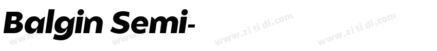 Balgin Semi字体转换